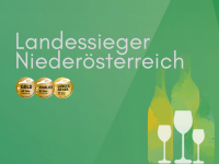 München - Weinverkostung - NÖ Landessieger 2021