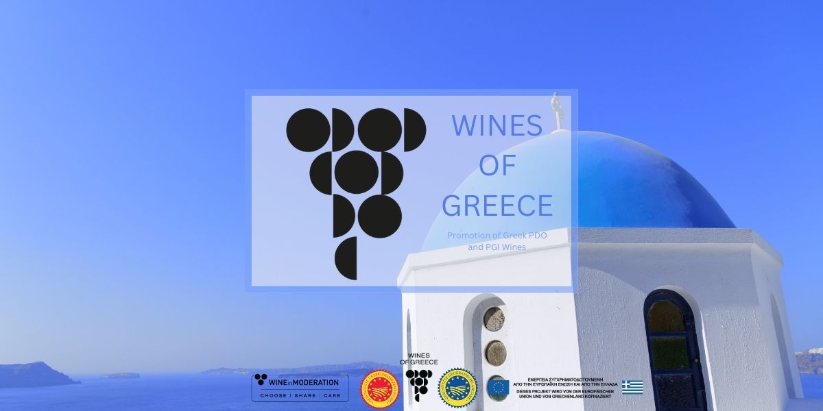 Köln - Wein Event - Die Griechische Herkunft im Weinglas